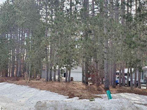 Tiny photo for 11756 SW Coster Road, Fife Lake, MI 49633 (MLS # 1942796)