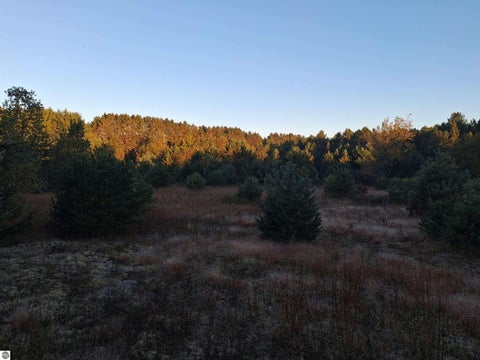 Tiny photo for 13158 Cinder Road, Beulah, MI 49617 (MLS # 1945625)