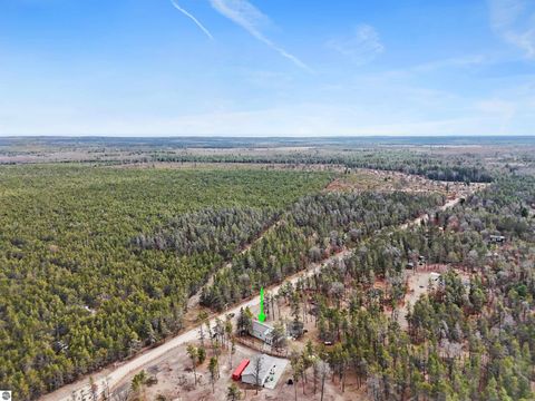 Tiny photo for 8252 Vans Trail, Marion, MI 49665 (MLS # 1943309)