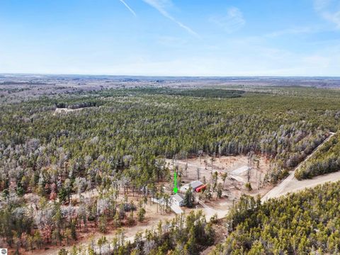 Tiny photo for 8252 Vans Trail, Marion, MI 49665 (MLS # 1943309)