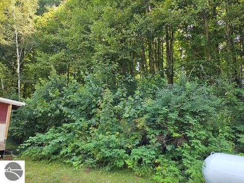 Tiny photo for 153 N Derenzy Road, Central Lake, MI 49622 (MLS # 1949362)