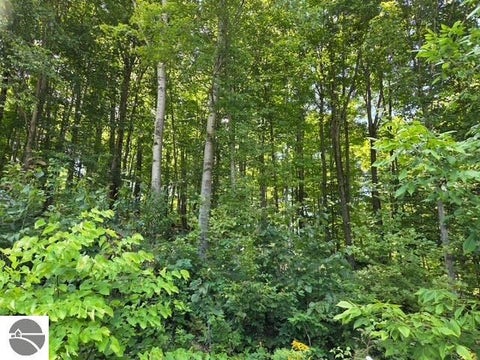 Tiny photo for 153 N Derenzy Road, Central Lake, MI 49622 (MLS # 1949362)