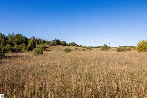 Tiny photo for 16760 Litzen Road, Copemish, MI 49625 (MLS # 1951187)