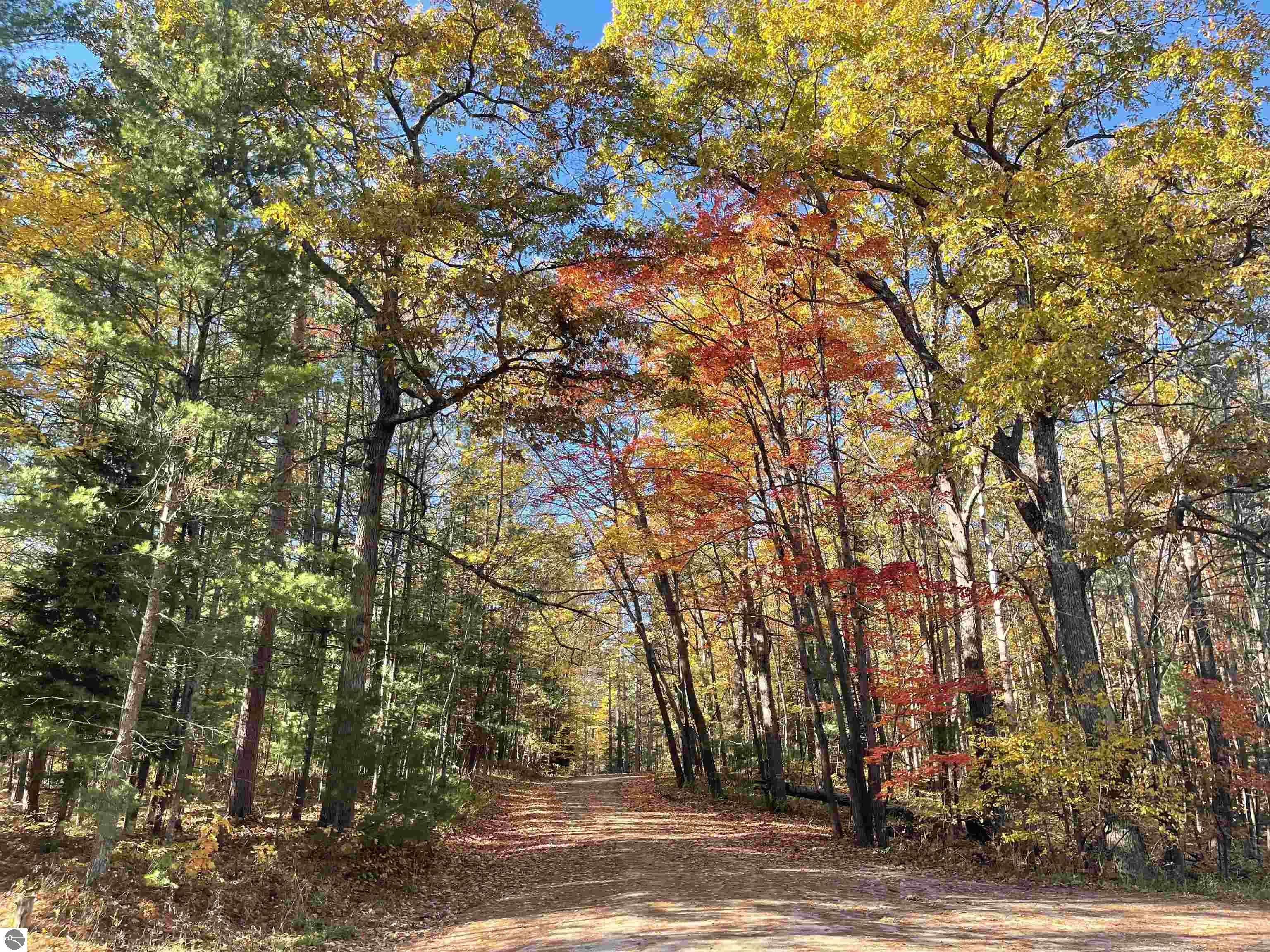 Photo 1 of 9 — 3037 Dockery Road, Nw, Williamsburg, MI 49690