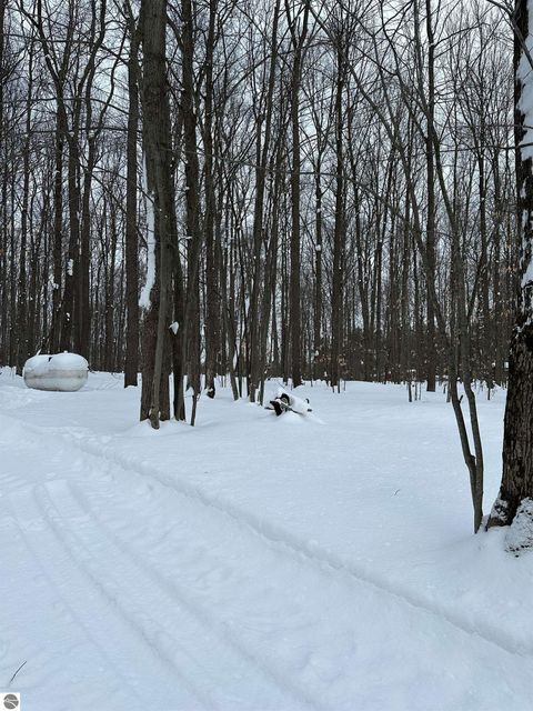 Tiny photo for 2392 SW Inman Road, South Boardman, MI 49680 (MLS # 1942276)