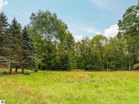 Tiny photo for 9350 W Watergate Road, McBain, MI 49657 (MLS # 1950723)