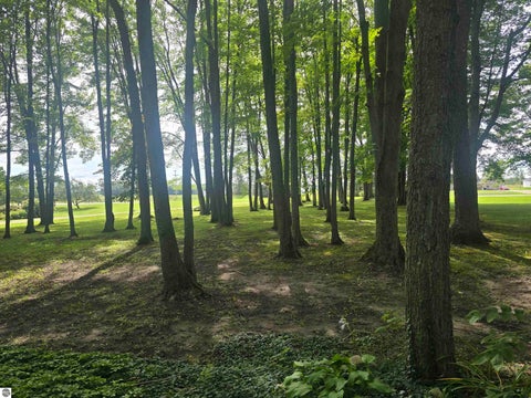 Tiny photo for 9350 W Watergate Road, McBain, MI 49657 (MLS # 1950723)