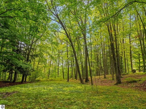 Tiny photo for 9350 W Watergate Road, McBain, MI 49657 (MLS # 1950723)