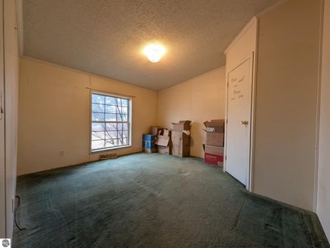 Tiny photo for 6046 Douglas Road, Riverdale, MI 48877 (MLS # 1942920)