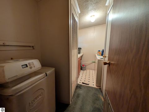 Tiny photo for 6046 Douglas Road, Riverdale, MI 48877 (MLS # 1942920)