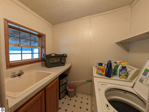 Tiny photo for 6046 Douglas Road, Riverdale, MI 48877 (MLS # 1942920)