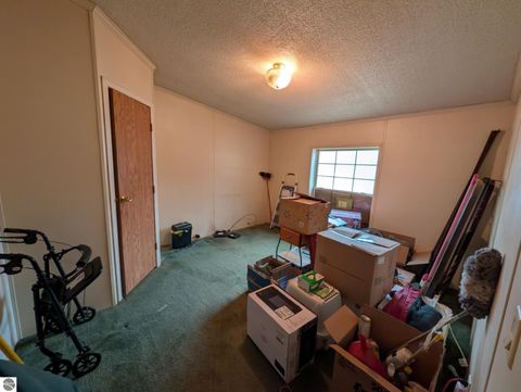 Tiny photo for 6046 Douglas Road, Riverdale, MI 48877 (MLS # 1942920)