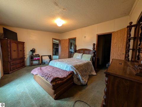 Tiny photo for 6046 Douglas Road, Riverdale, MI 48877 (MLS # 1942920)