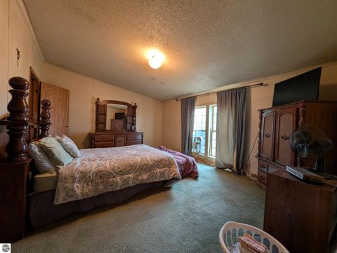 Tiny photo for 6046 Douglas Road, Riverdale, MI 48877 (MLS # 1942920)