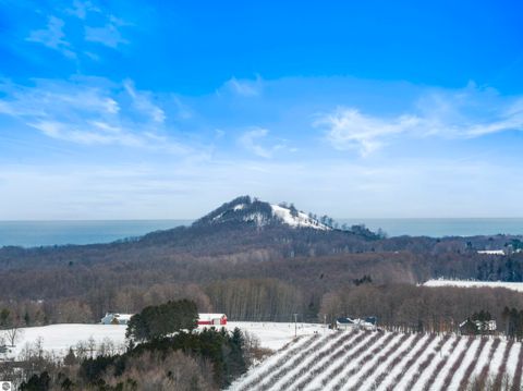 Tiny photo for 1800 E Narlock Road, Cedar, MI 49621 (MLS # 1942266)