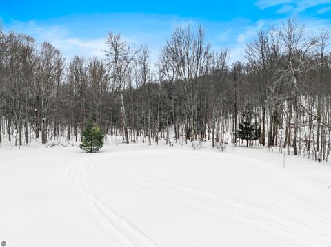 Tiny photo for 1800 E Narlock Road, Cedar, MI 49621 (MLS # 1942266)