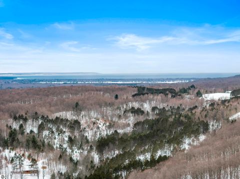 Tiny photo for 1800 E Narlock Road, Cedar, MI 49621 (MLS # 1942266)