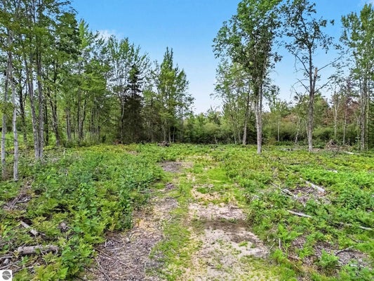 4457 E WEST BRANCH RD, PRUDENVILLE, MI 48651 - Image a705da448b97dbcb74f950896bf7ca68/3857639314