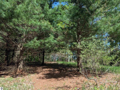 Tiny photo for 8828 Roberts Road, Central Lake, MI 49622 (MLS # 1948742)