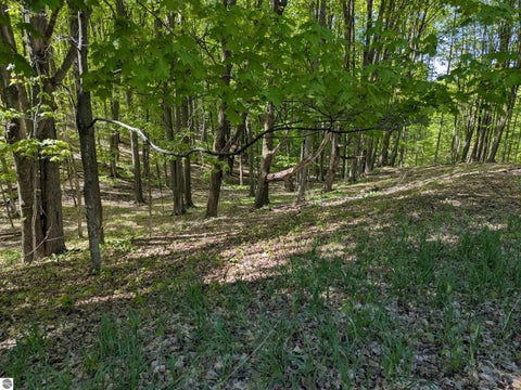 Tiny photo for 8828 Roberts Road, Central Lake, MI 49622 (MLS # 1948742)