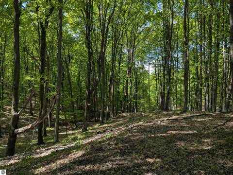Tiny photo for 8828 Roberts Road, Central Lake, MI 49622 (MLS # 1948742)