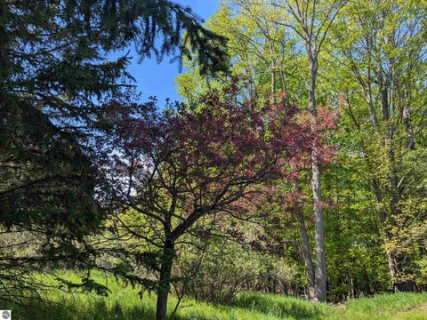 Tiny photo for 8828 Roberts Road, Central Lake, MI 49622 (MLS # 1948742)