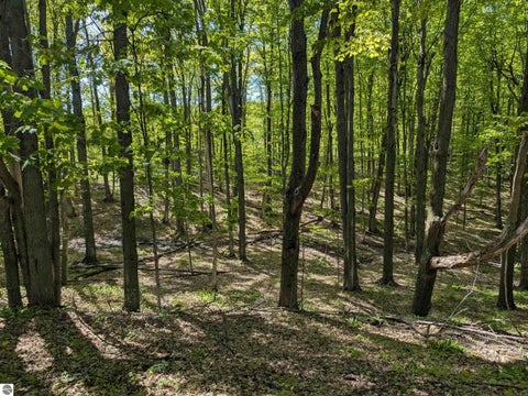 Tiny photo for 8828 Roberts Road, Central Lake, MI 49622 (MLS # 1948742)