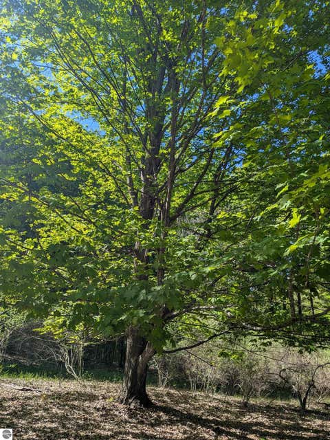 Tiny photo for 8828 Roberts Road, Central Lake, MI 49622 (MLS # 1948742)