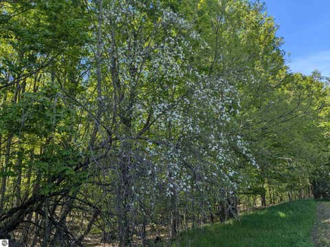 Tiny photo for 8828 Roberts Road, Central Lake, MI 49622 (MLS # 1948742)