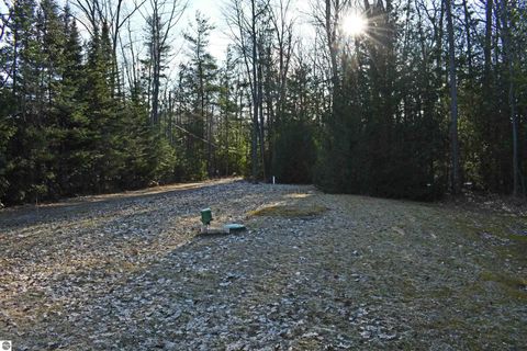 Tiny photo for 7941 E Cedar Lake Drive, Greenbush, MI 48738 (MLS # 1943569)