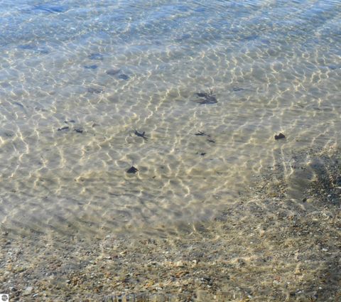 Tiny photo for 7941 E Cedar Lake Drive, Greenbush, MI 48738 (MLS # 1943569)