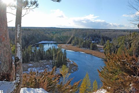 Tiny photo for 7941 E Cedar Lake Drive, Greenbush, MI 48738 (MLS # 1943569)