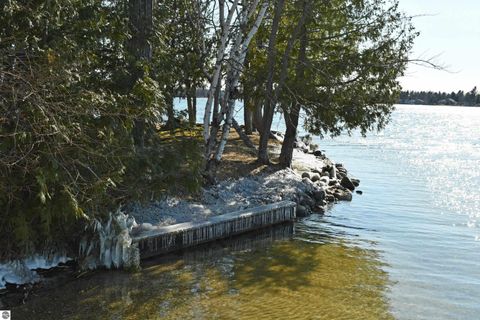 Tiny photo for 7941 E Cedar Lake Drive, Greenbush, MI 48738 (MLS # 1943569)