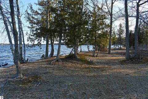 Tiny photo for 7941 E Cedar Lake Drive, Greenbush, MI 48738 (MLS # 1943569)