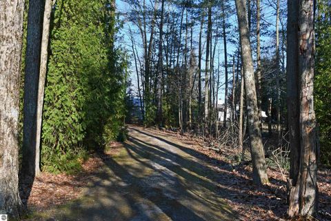 Tiny photo for 7941 E Cedar Lake Drive, Greenbush, MI 48738 (MLS # 1943569)