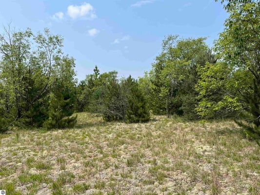 S WESTWOOD, MANCELONA, MI 49646 - Image a7ec723f3b1b68e699177ec2255c88a8/3464682264