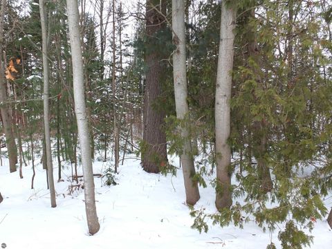 Tiny photo for 639 Hawthorne Lane, Traverse City, MI 49686 (MLS # 1942976)