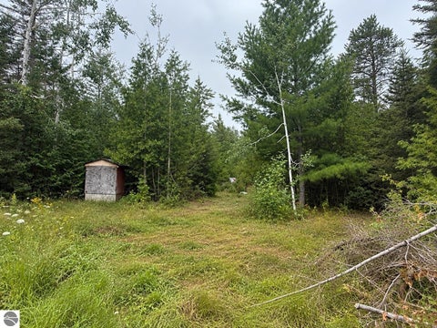 Tiny photo for 3270 Daisy Lane, Alpena, MI 49707 (MLS # 1949929)
