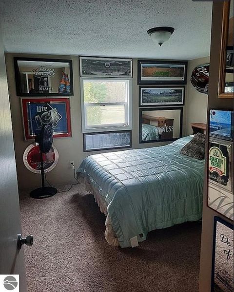 Tiny photo for 5085 W Redstone Road, St Louis, MI 48880 (MLS # 1943627)