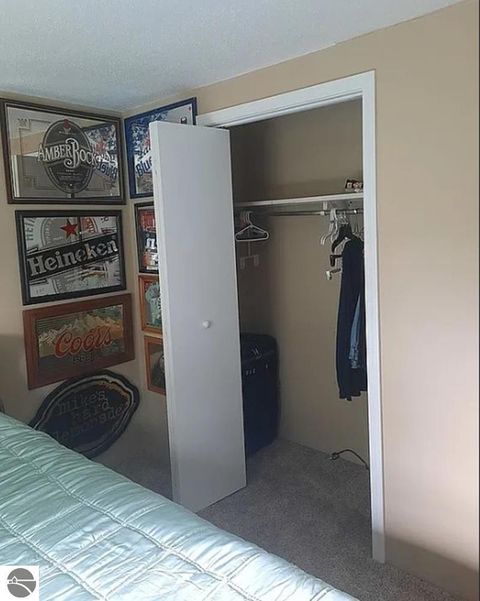 Tiny photo for 5085 W Redstone Road, St Louis, MI 48880 (MLS # 1943627)