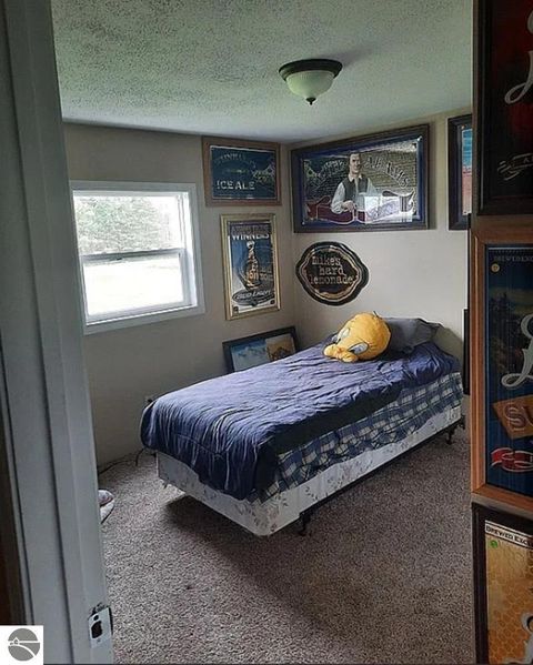 Tiny photo for 5085 W Redstone Road, St Louis, MI 48880 (MLS # 1943627)