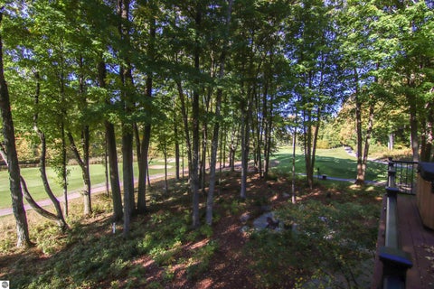 Tiny photo for 11645 Overlook Circle, Thompsonville, MI 49683 (MLS # 1951574)