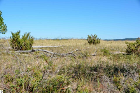 Tiny photo for 8726 W Sleeping Bear Road, Glen Arbor, MI 49636 (MLS # 1951781)
