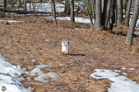 Tiny photo for 10389 Billman Road, Roscommon, MI 48653 (MLS # 1942875)