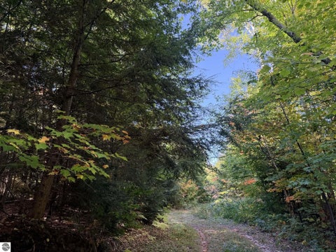 Tiny photo for 1690 Tower Road, Newberry, MI 49868 (MLS # 1950992)