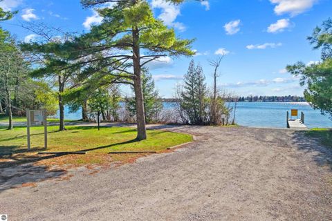 Tiny photo for 7936 E Cedar Lake Drive, Greenbush, MI 48738 (MLS # 1945240)