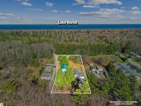Tiny photo for 7936 E Cedar Lake Drive, Greenbush, MI 48738 (MLS # 1945240)
