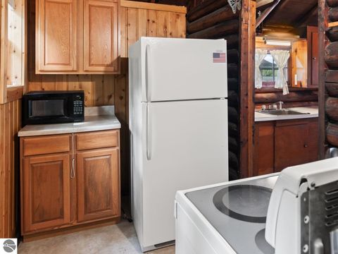 Tiny photo for 19116 Kenny Drive, Big Rapids, MI 49307 (MLS # 1943360)