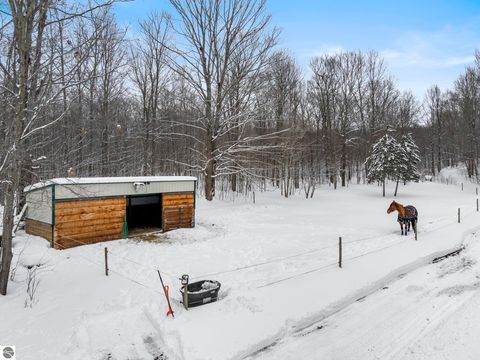 Tiny photo for 6081 Riley Ridge Lane, Thompsonville, MI 49683 (MLS # 1943121)