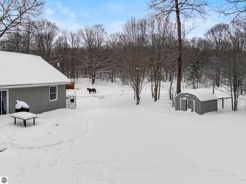Tiny photo for 6081 Riley Ridge Lane, Thompsonville, MI 49683 (MLS # 1943121)